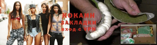 альфа пвп Няндома