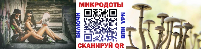 Псилоцибиновые грибы Psilocybe  как найти наркотики  Нижнеудинск 